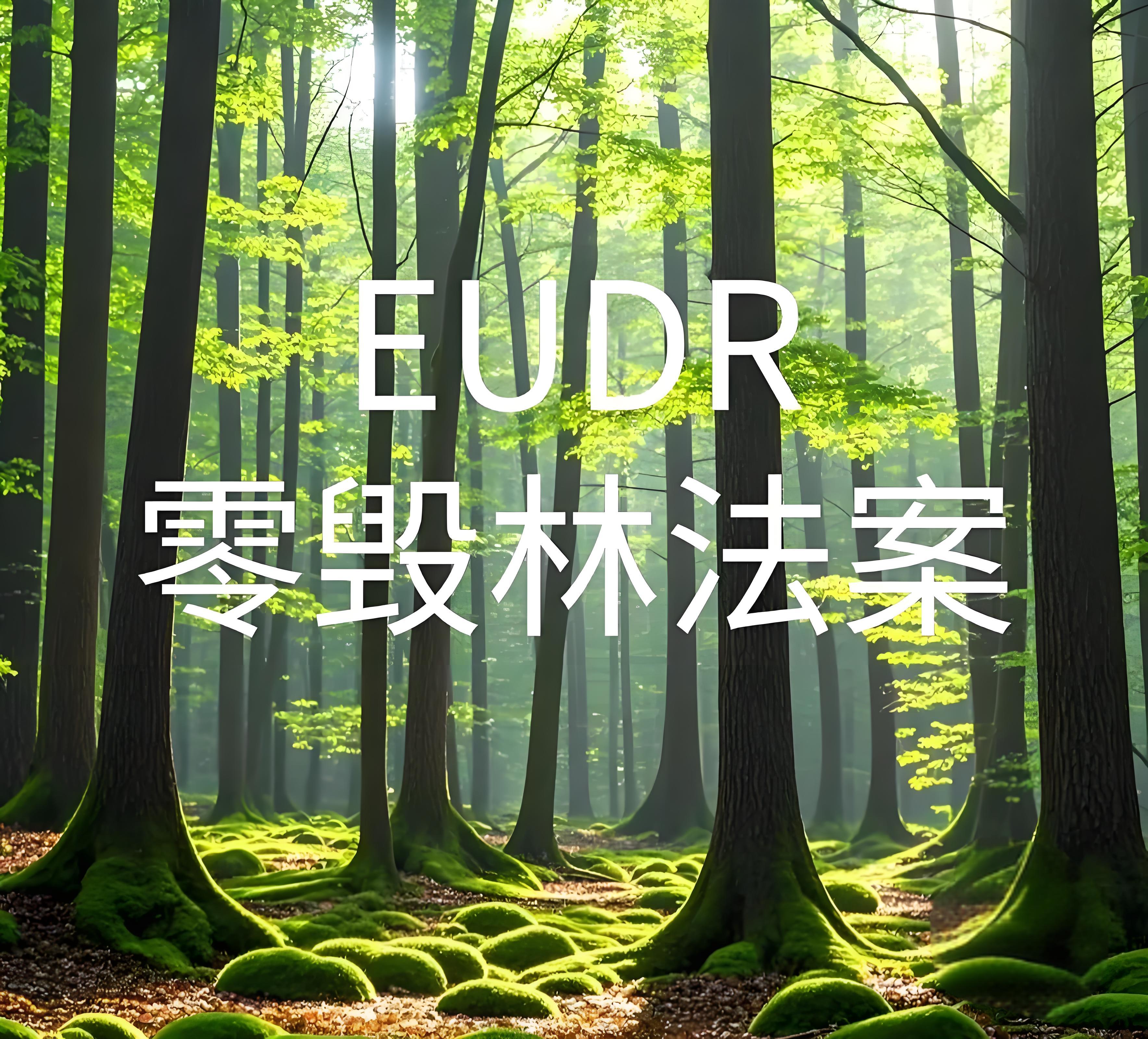 工厂和金策咨询携手，如何快速认证社会责任、质量管理和反恐安全体系