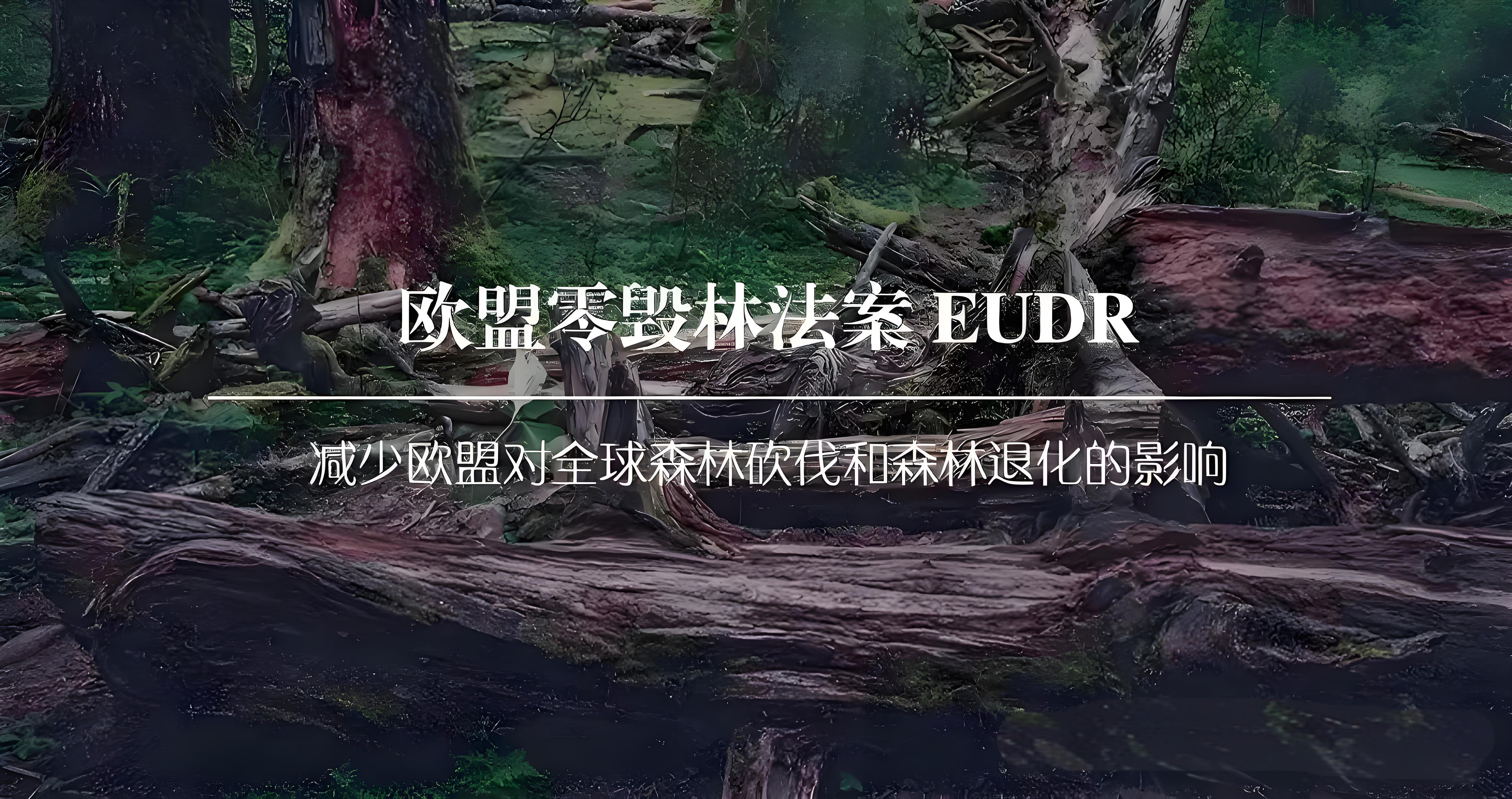 工厂和金策咨询携手，如何快速认证社会责任、质量管理和反恐安全体系