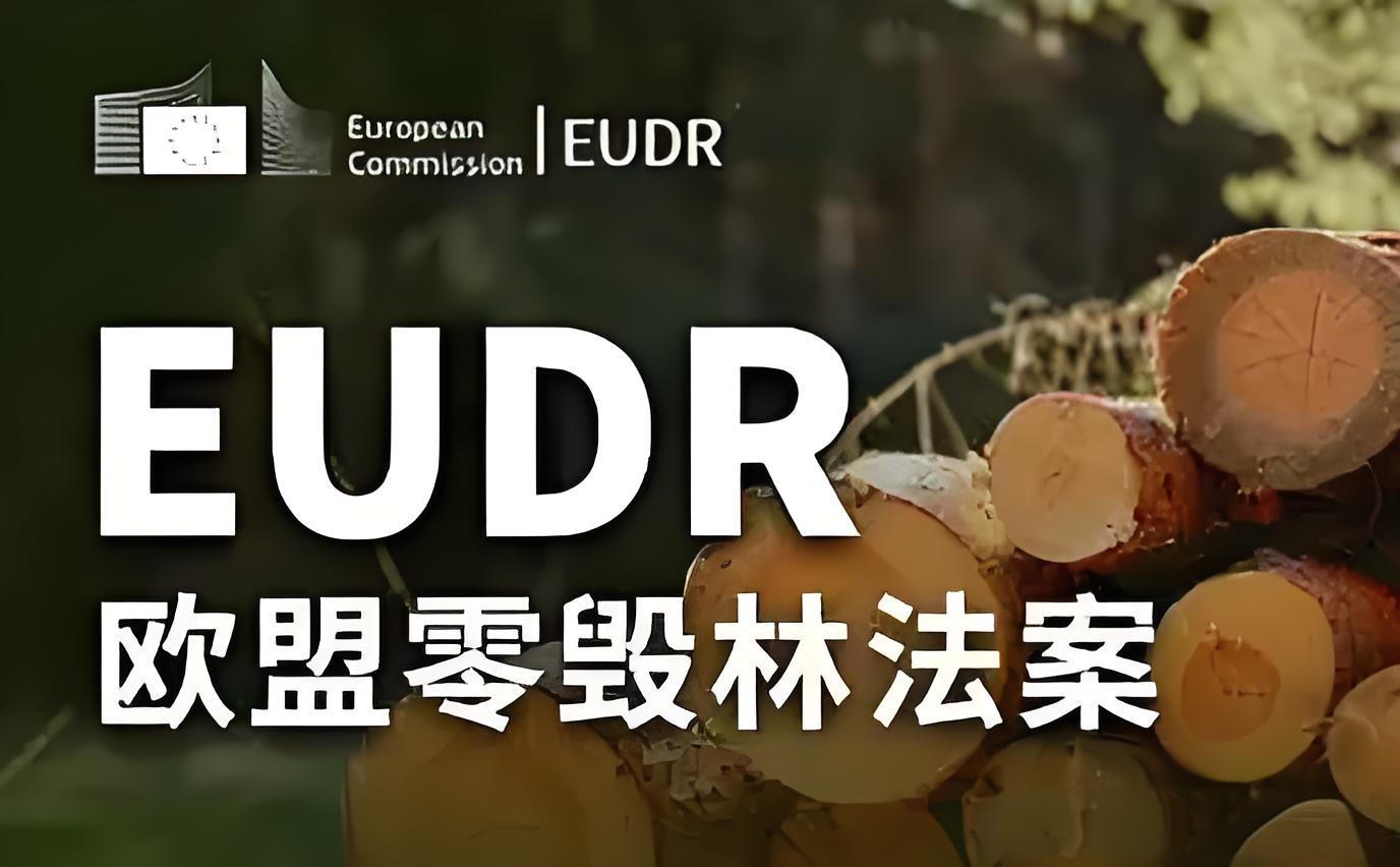 工厂和金策咨询携手，如何快速认证社会责任、质量管理和反恐安全体系