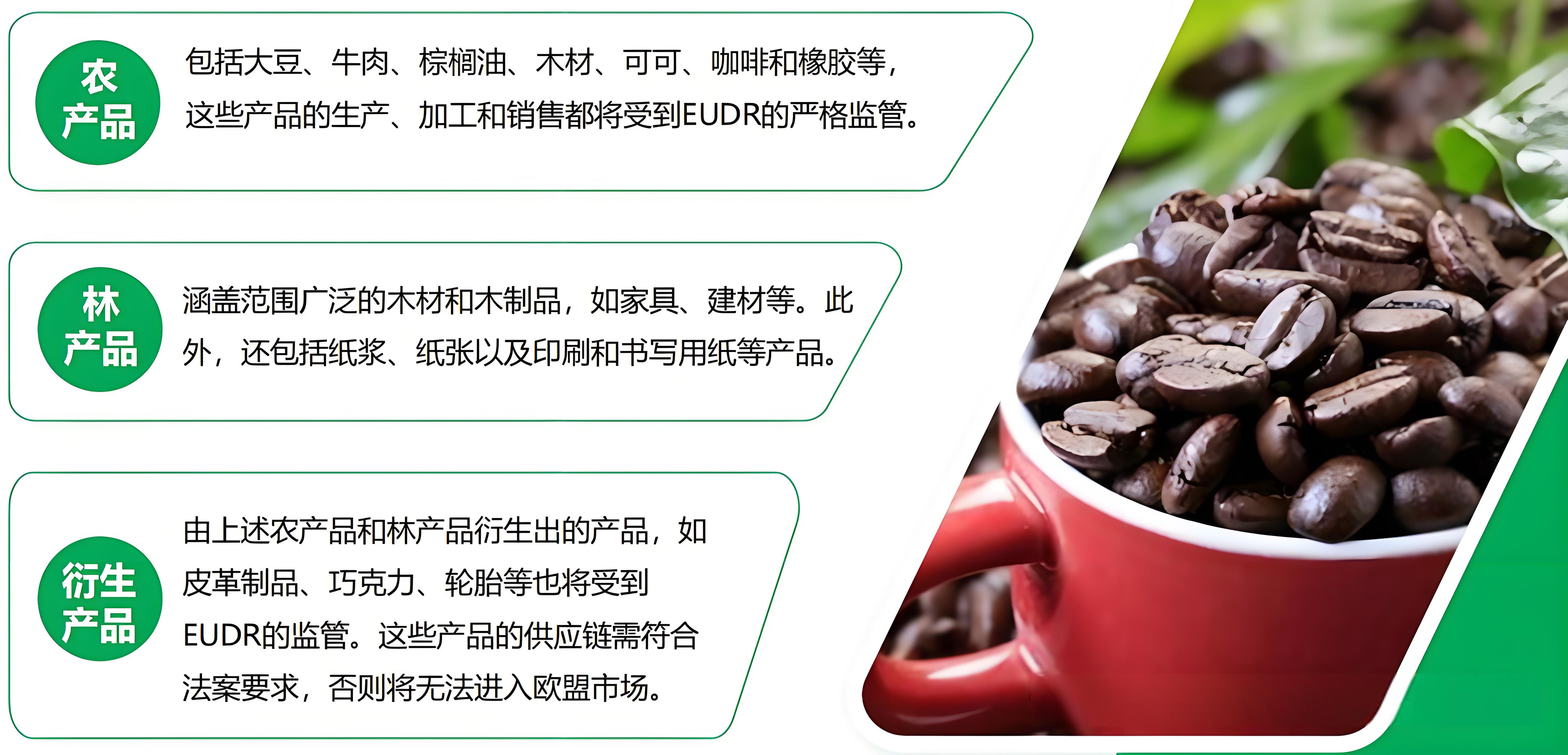 工厂和金策咨询携手，如何快速认证社会责任、质量管理和反恐安全体系