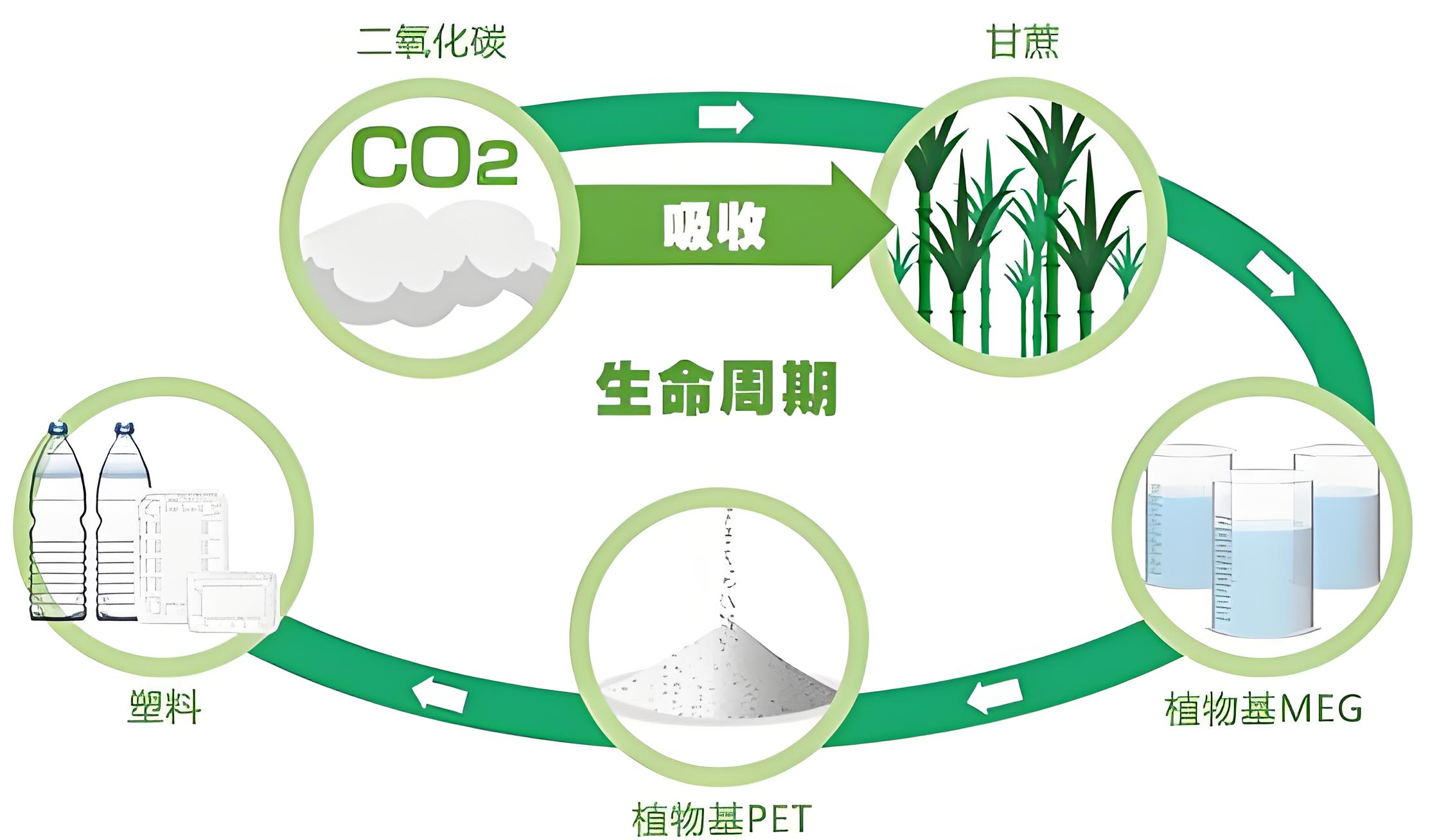 工厂和金策咨询携手，如何快速认证社会责任、质量管理和反恐安全体系