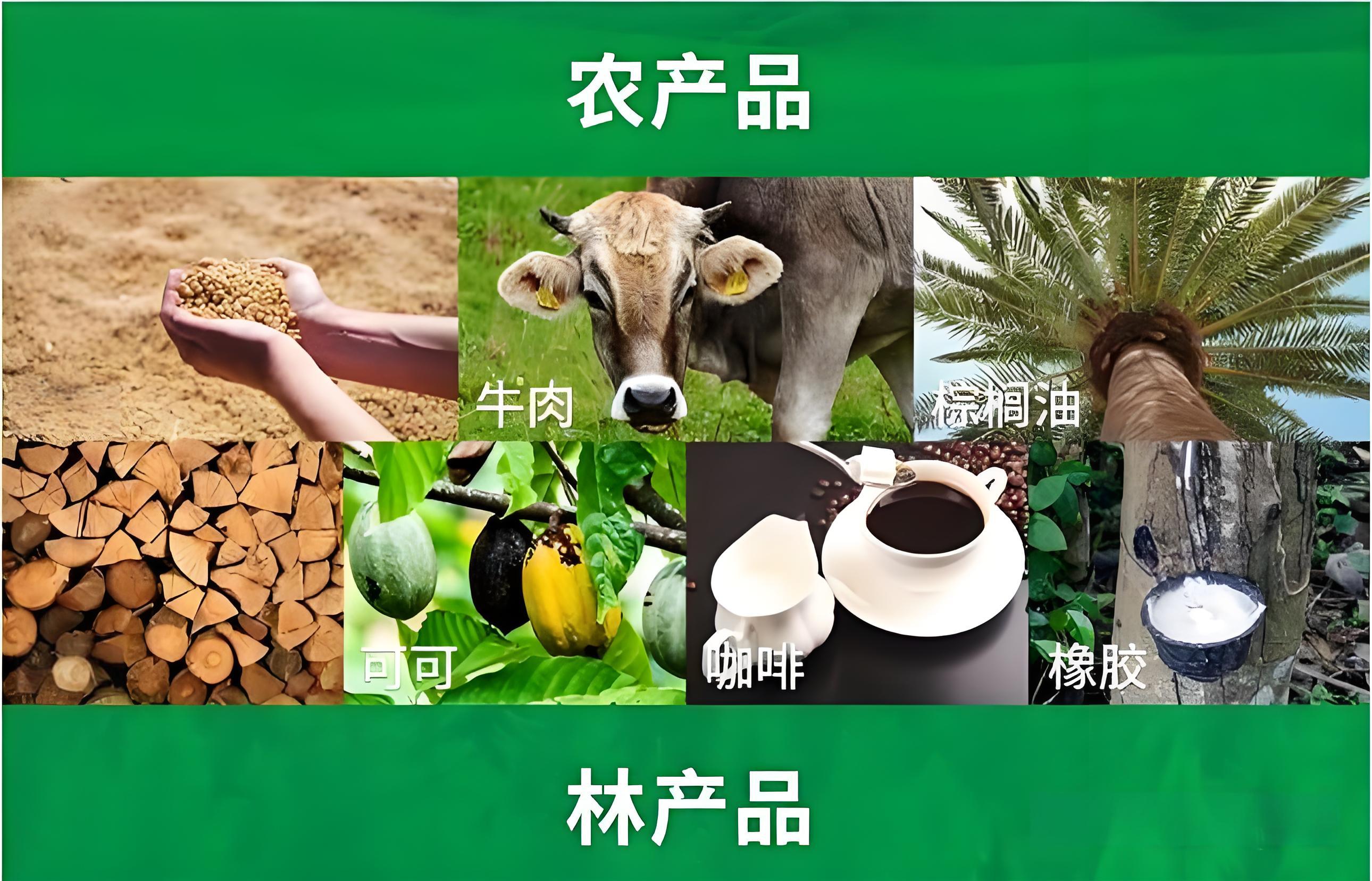 工厂和金策咨询携手，如何快速认证社会责任、质量管理和反恐安全体系