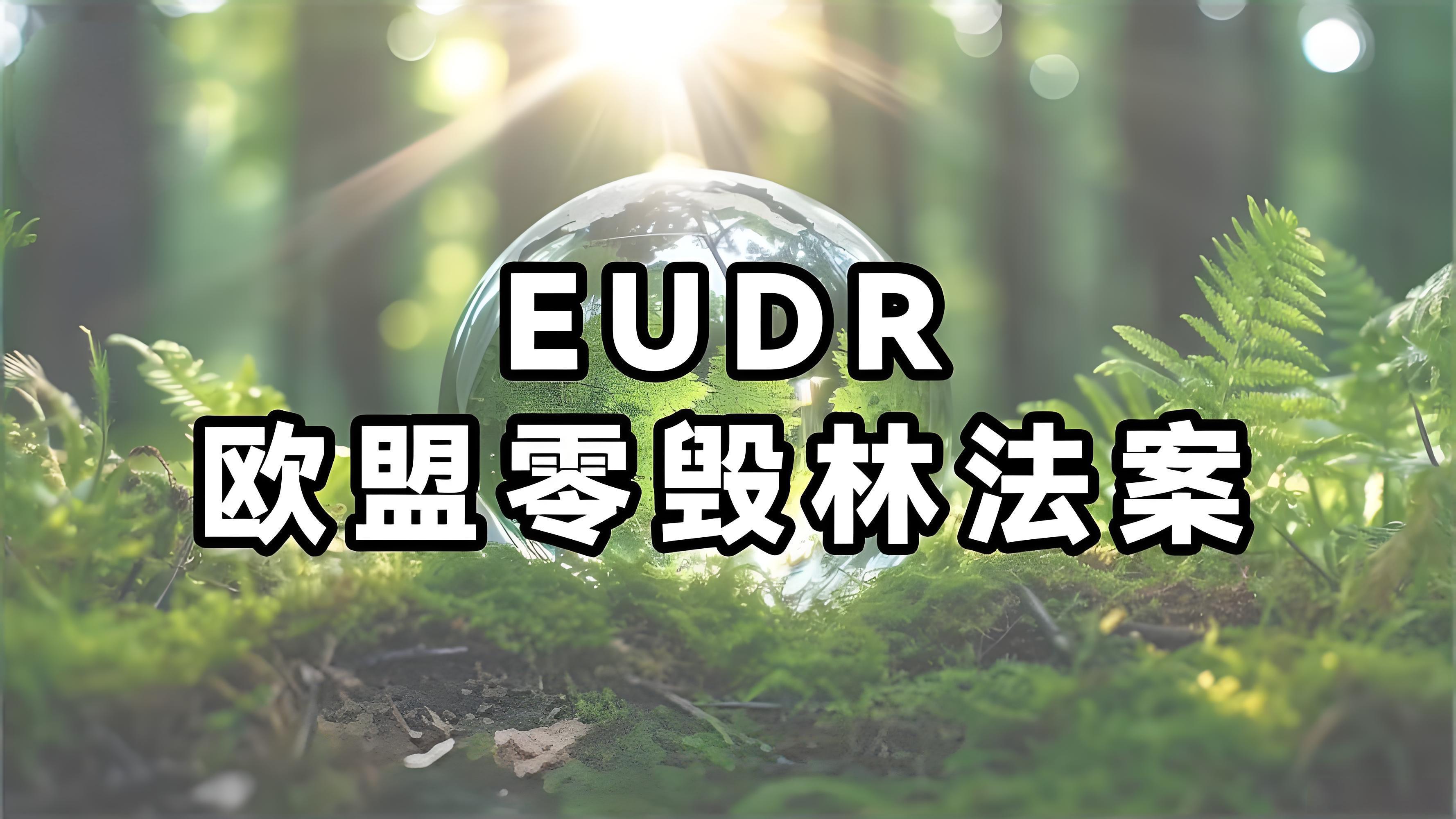 工厂和金策咨询携手，如何快速认证社会责任、质量管理和反恐安全体系