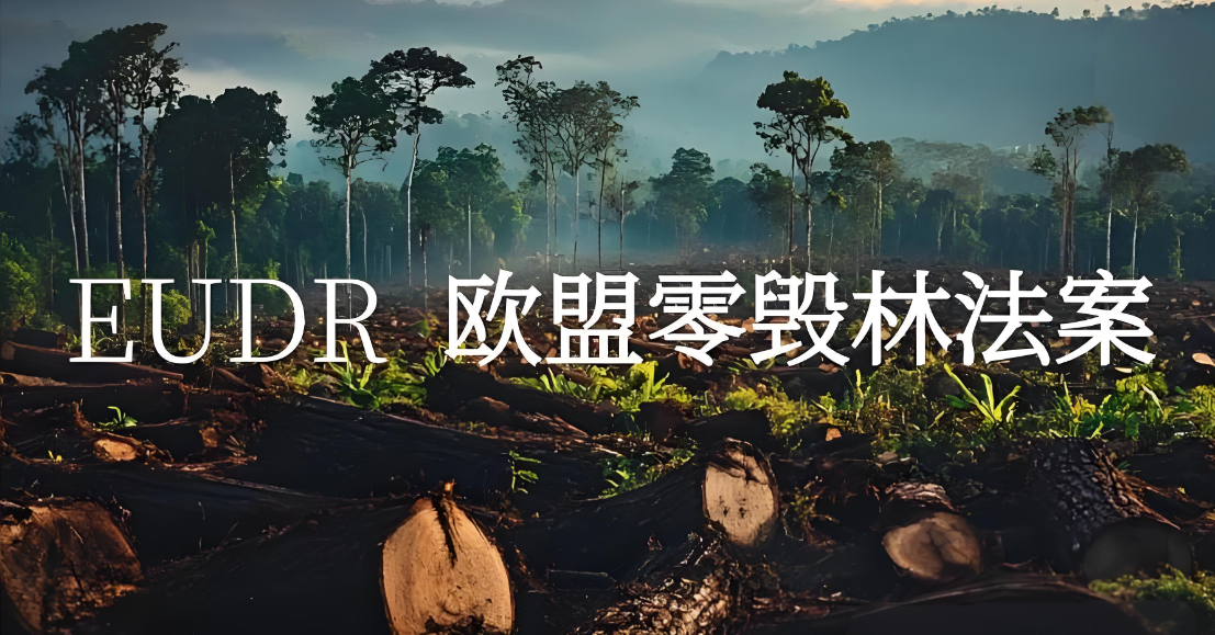 工厂和金策咨询携手，如何快速认证社会责任、质量管理和反恐安全体系